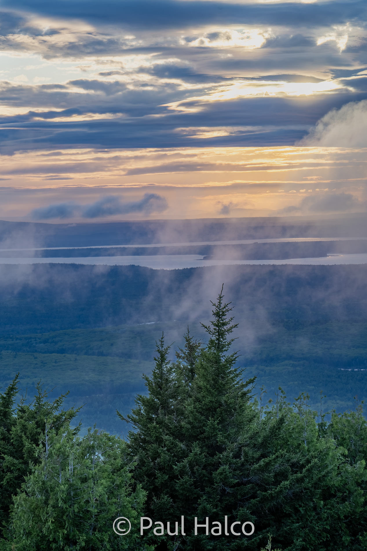 Paul Halco-Acadia NP-14